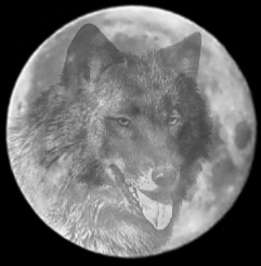 Howl at the moon