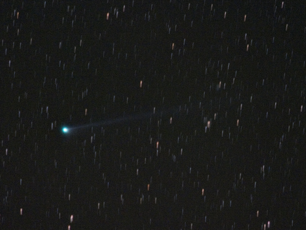 Comet Swan