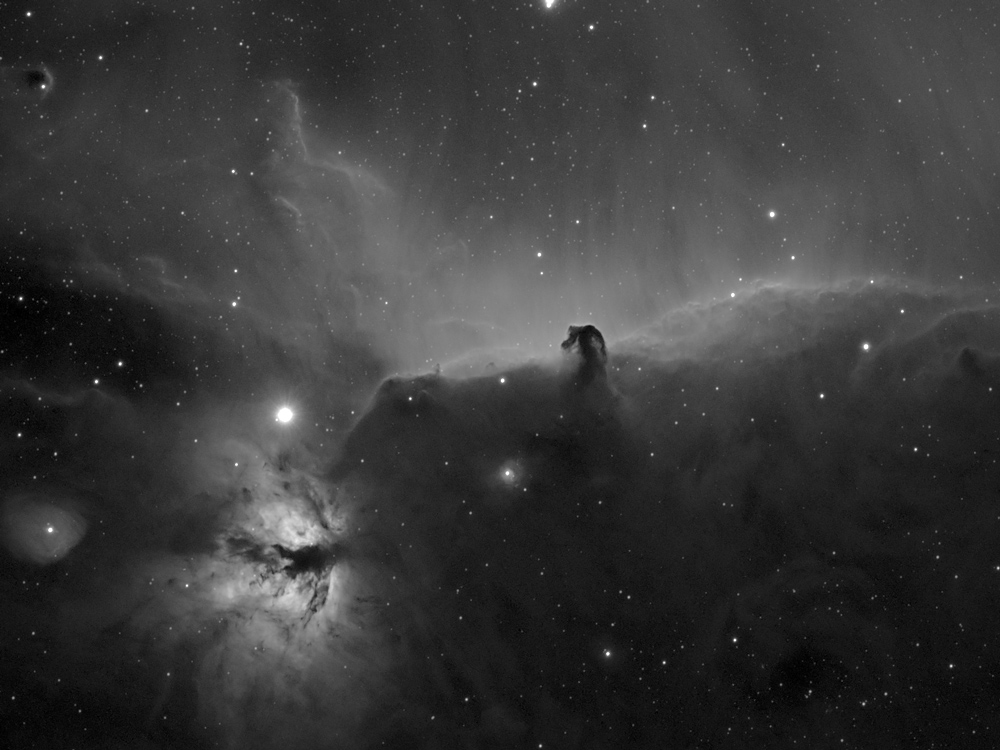 Horsehead and Flame Nebulas