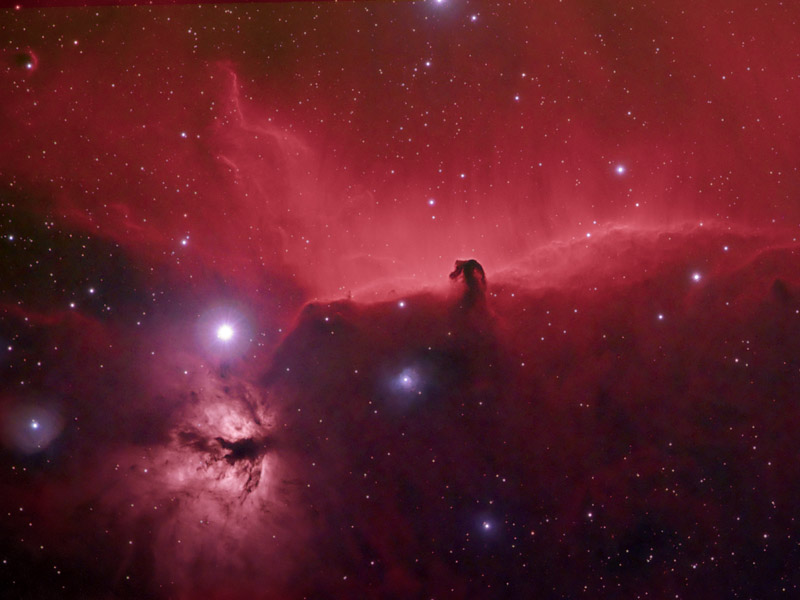 Horsehead and Flame Nebulae in HaRGB
