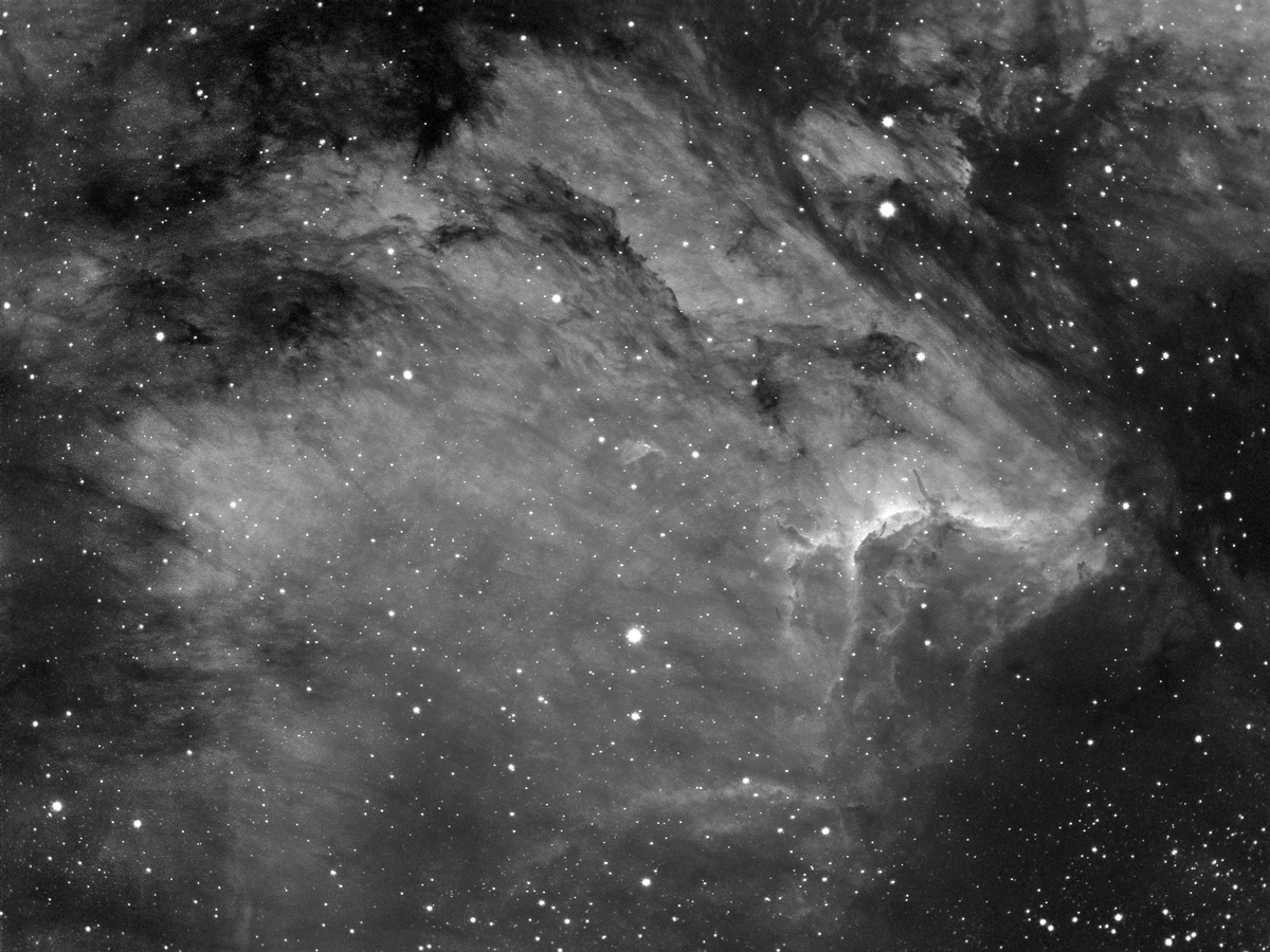 IC5070 - The Pelican Nebula