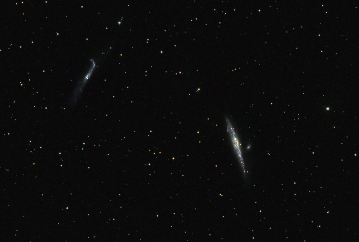 The Whale and Hockey Stick Galaxies