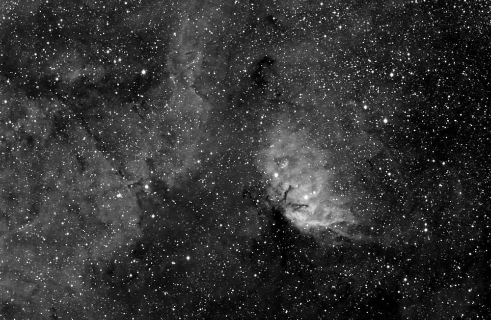 SH2-101 The Tulip Nebula