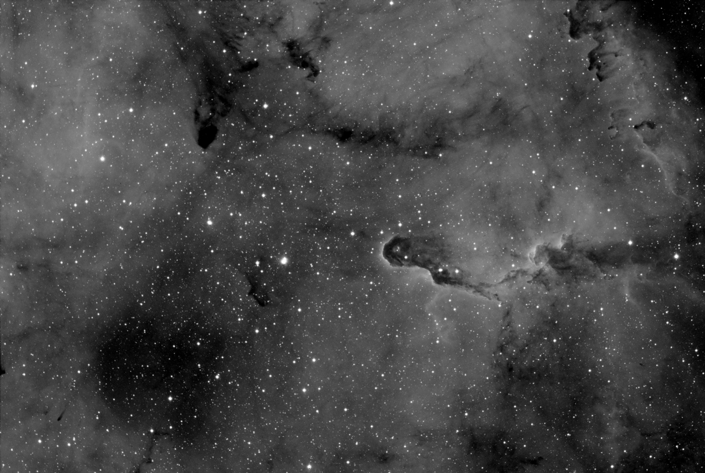 Elephant Trunk Nebula in IC1396