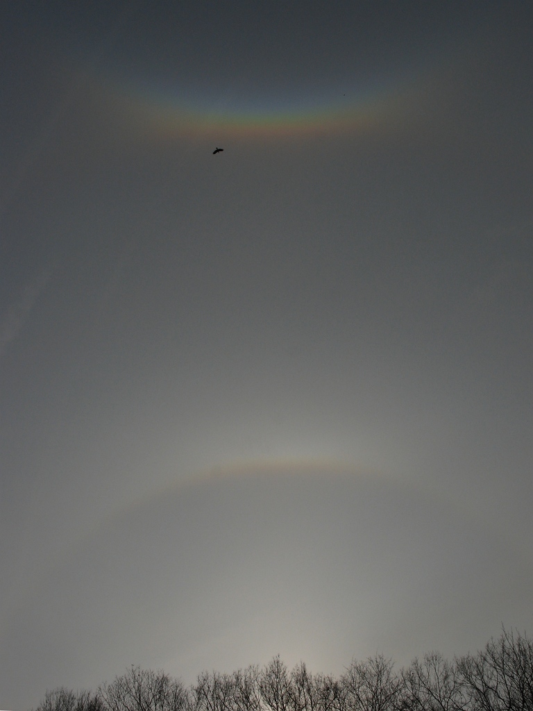 Circumzenithal Arc