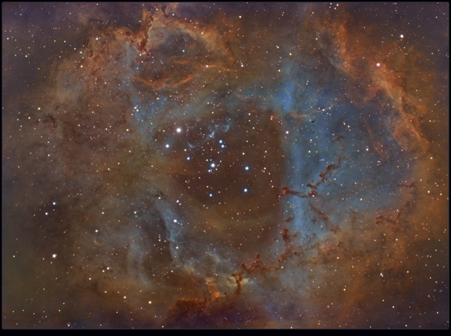 Rosette in Hubble Palette
