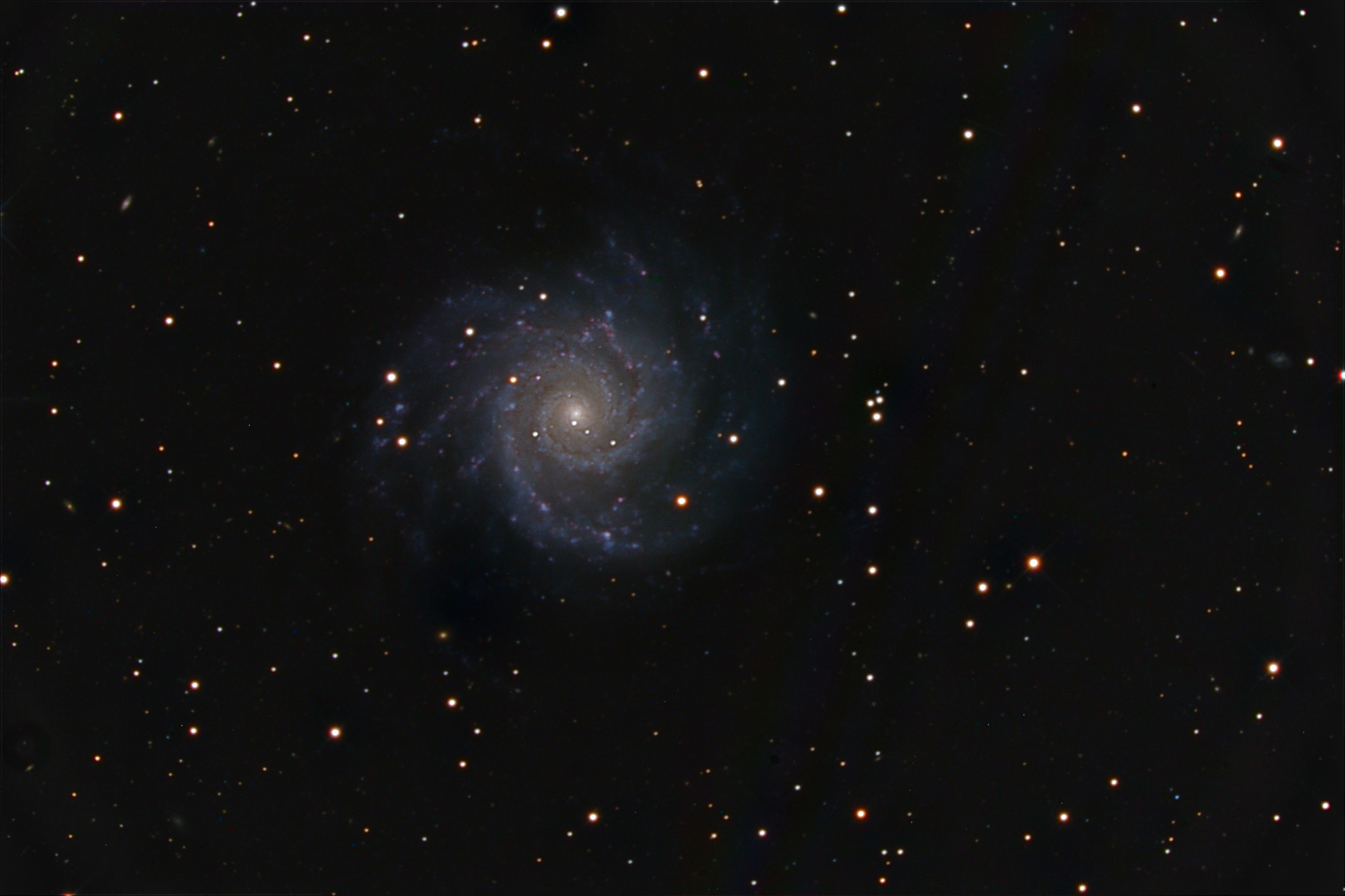 M74