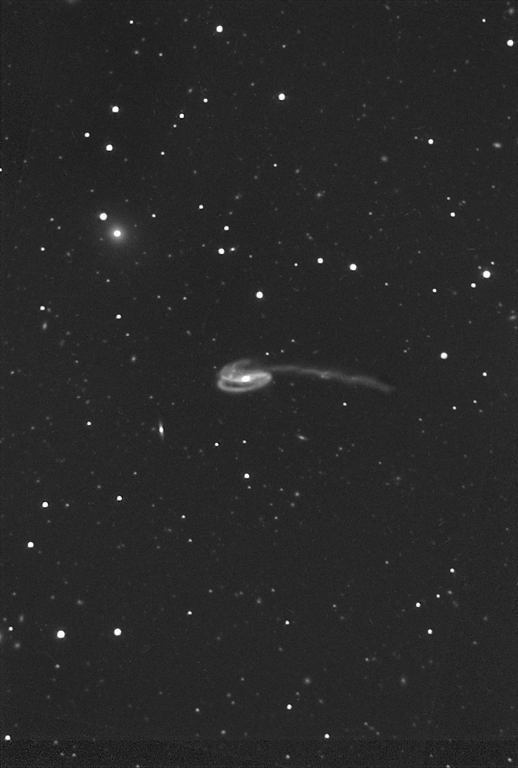Deep Tadpole