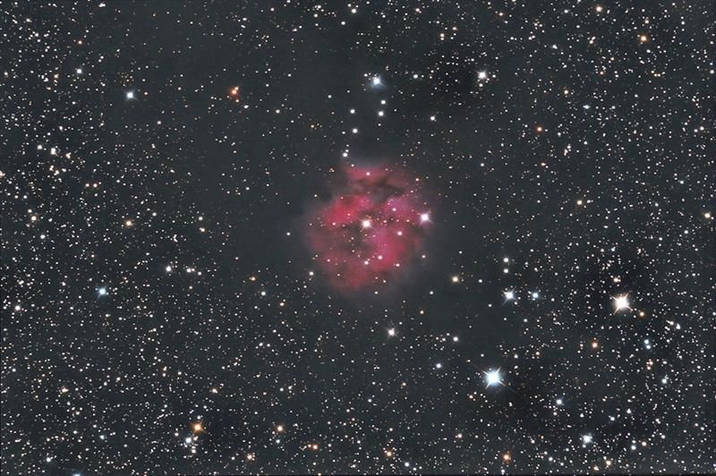 COCOON NEBULA