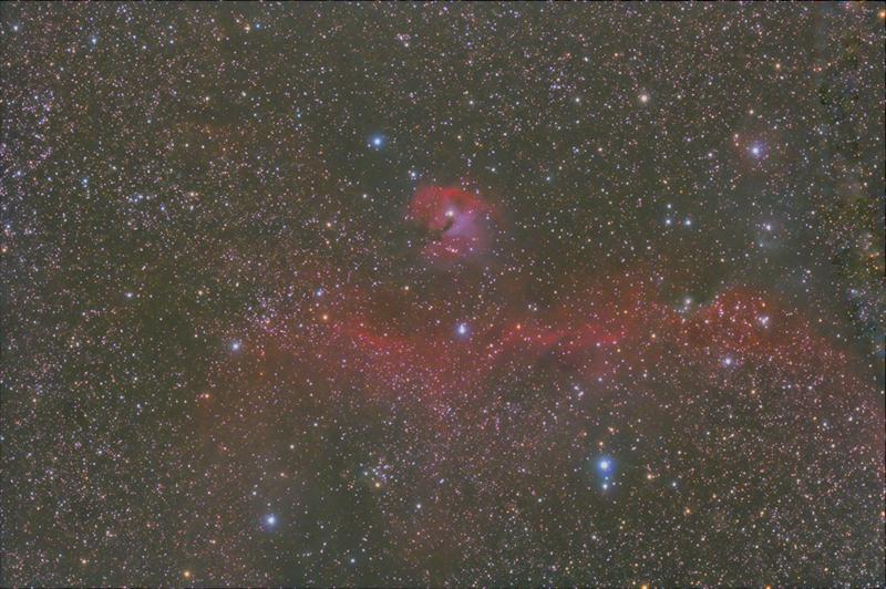 THE SEAGULL NEBULA