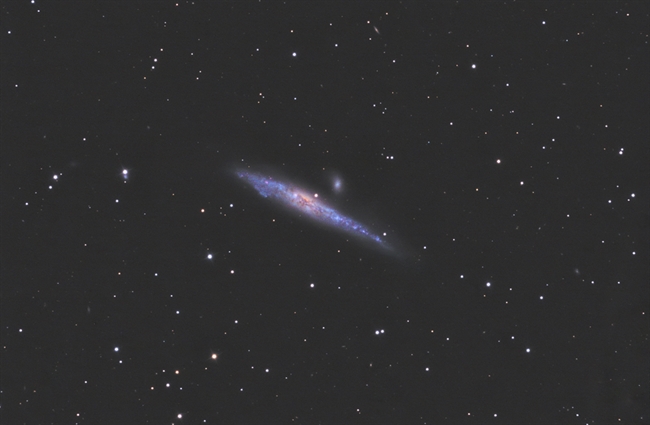 NGC-4631 The While 