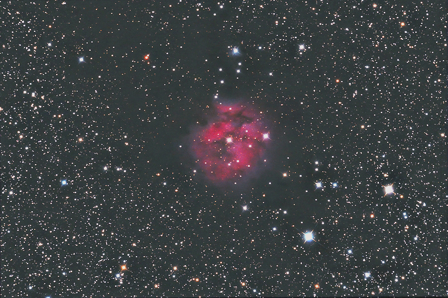 THE COCOON NEBULA