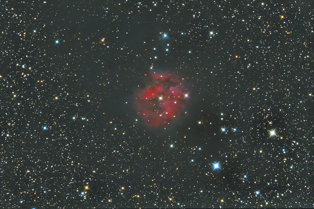 COCOON NEBULA VIRSON 2
