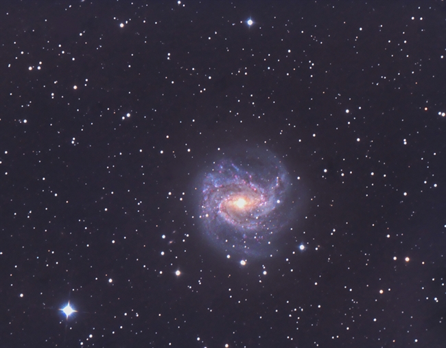 M-83