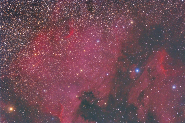 THE NORTH AMERICAN NEBULA COMPLEX