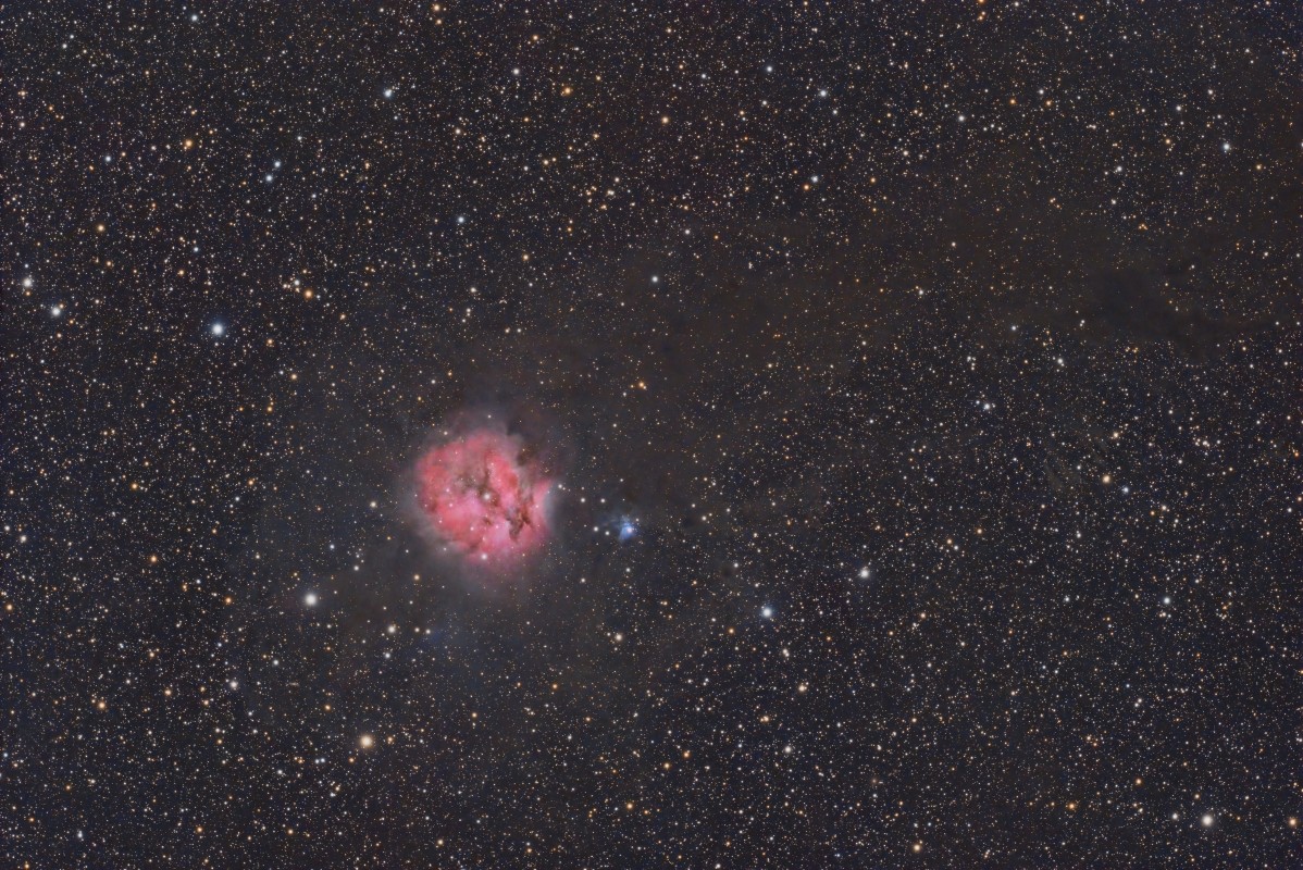 IC 5146 cocoon