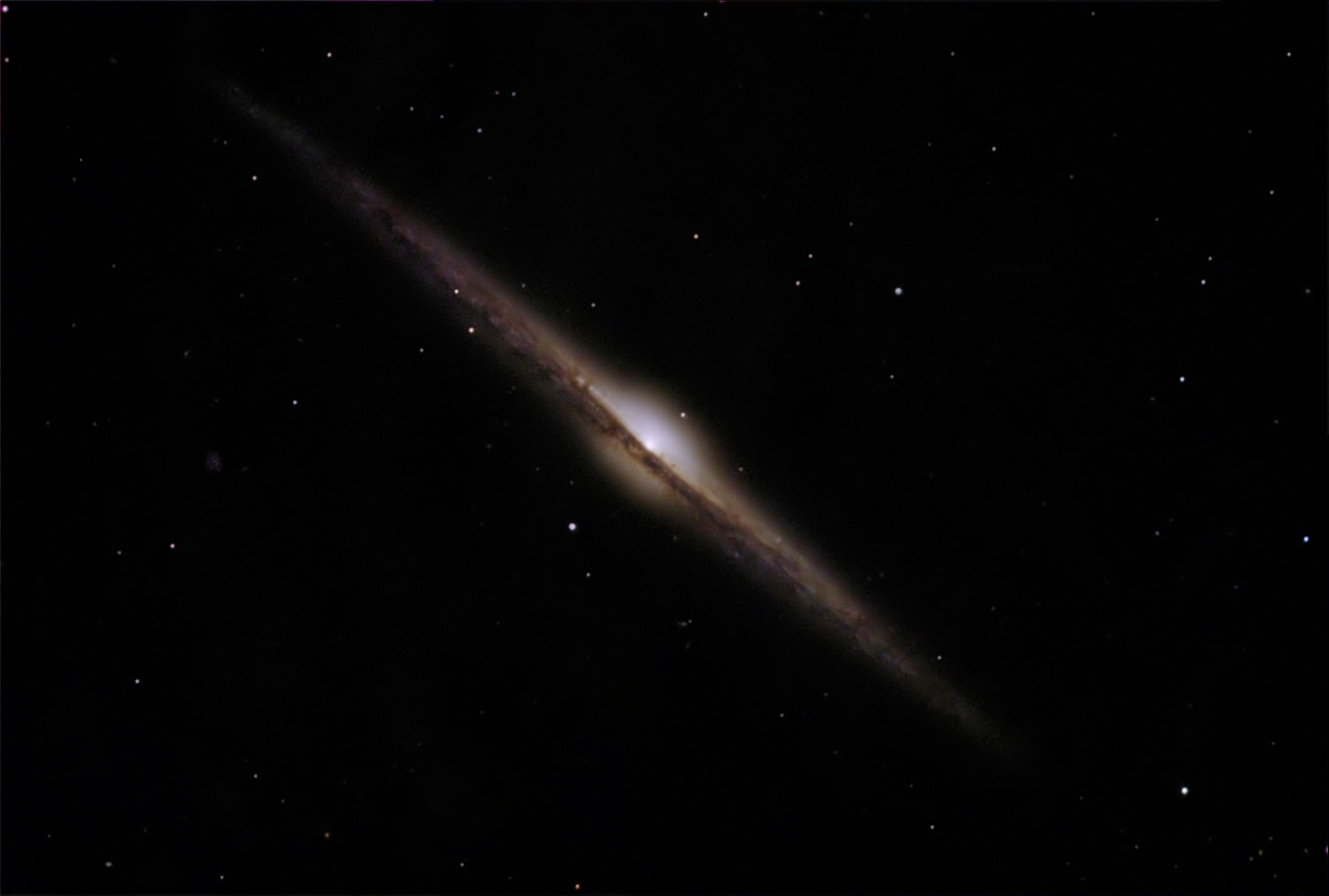 NGC 4565