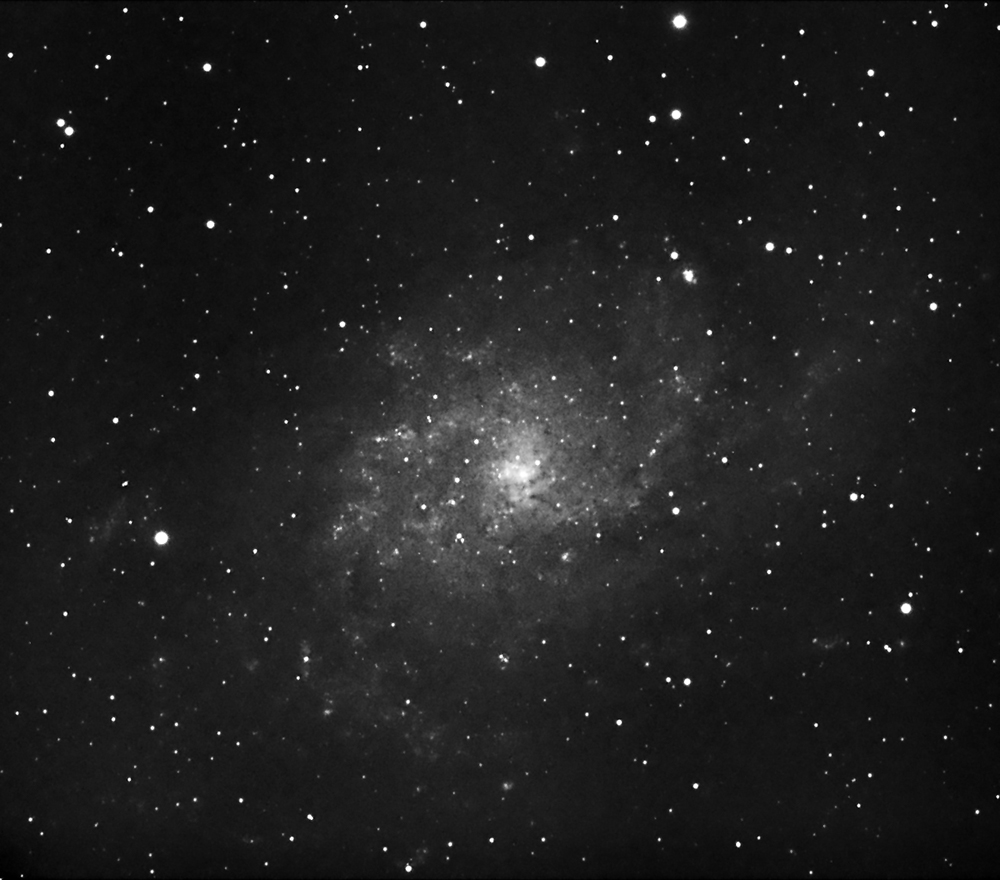 M33