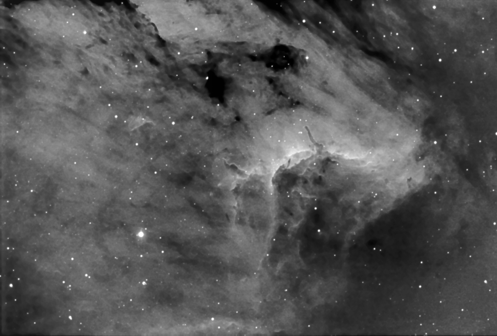 C 5070 Pelikan Nebula