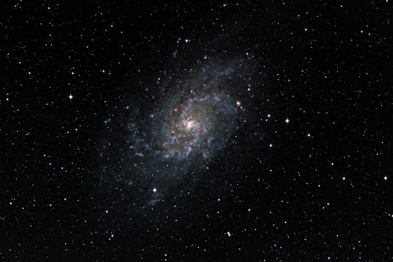 M33
