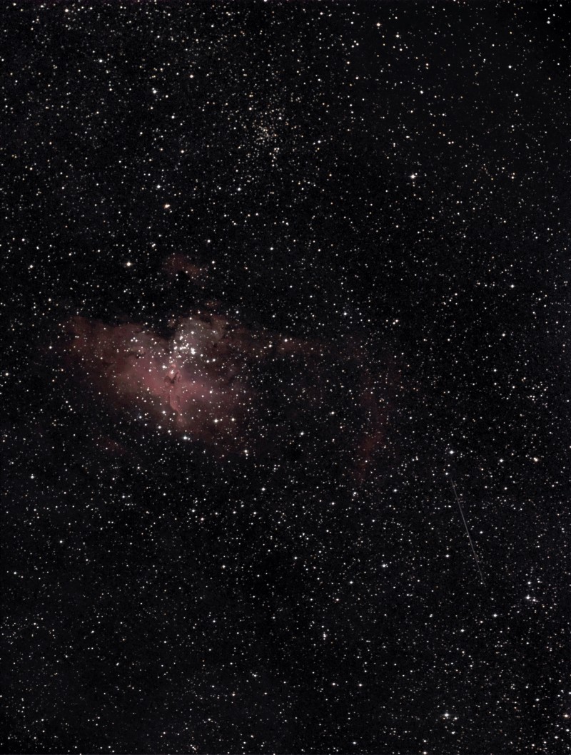 eagle with telescopic meteor