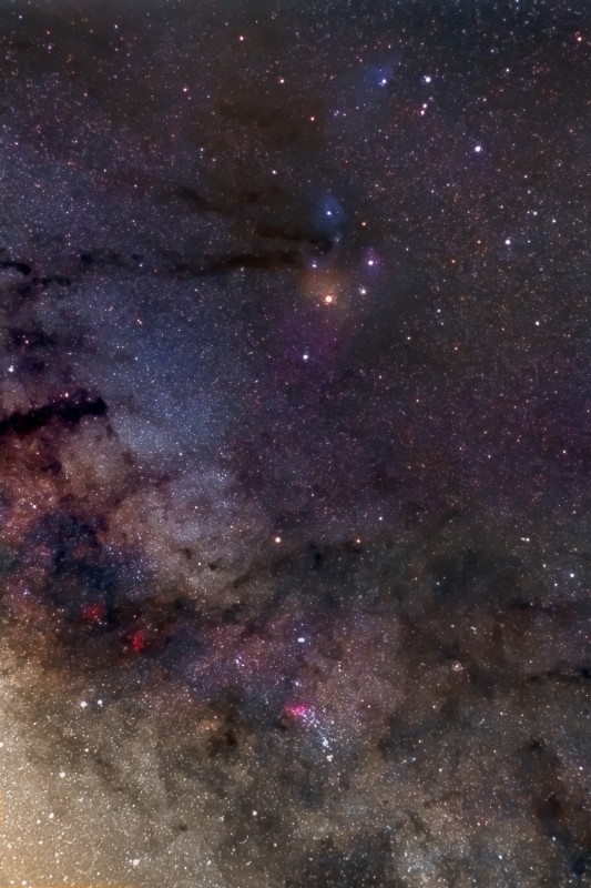 Scorpius