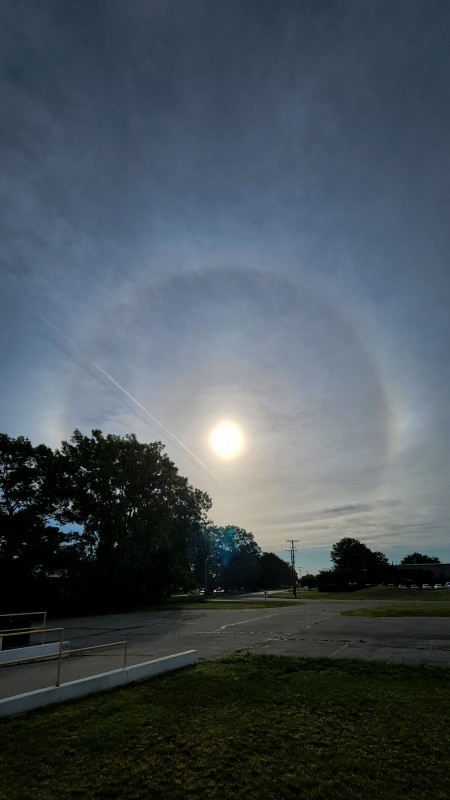 halo today