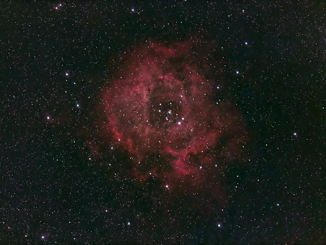 Rosette Seestar 30 Pro