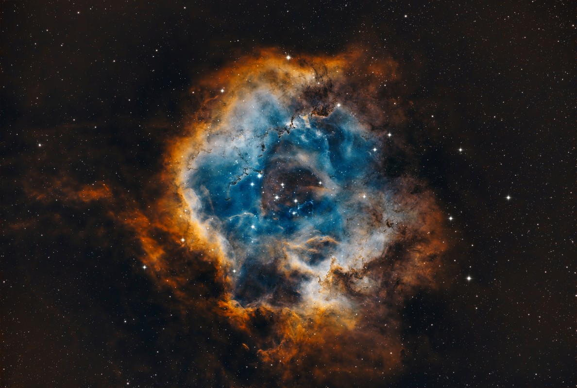 rosette nebula