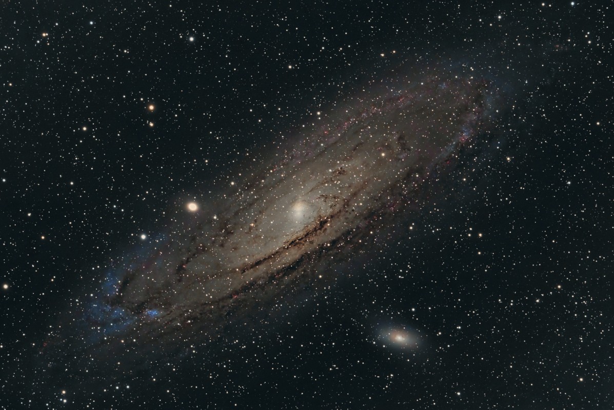 M31