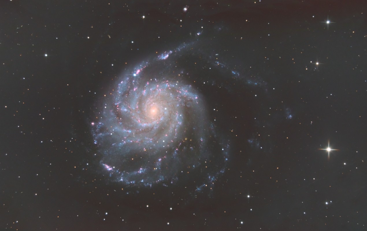 M101 supernova