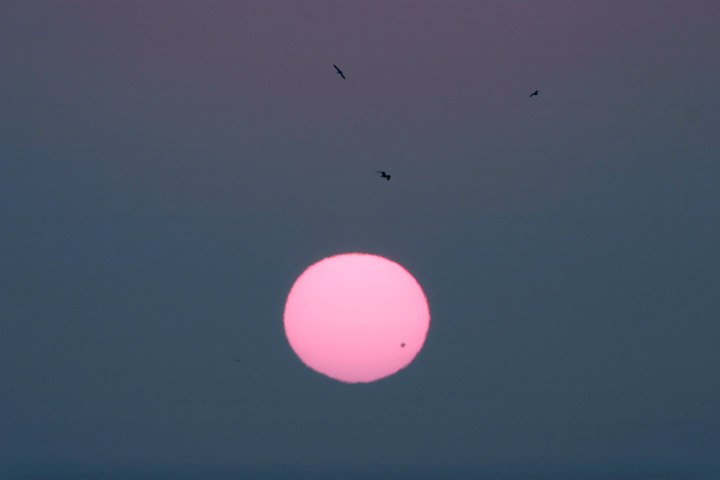 Venus Transit
