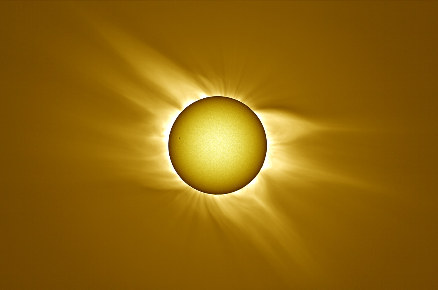 Coronal Dynamics