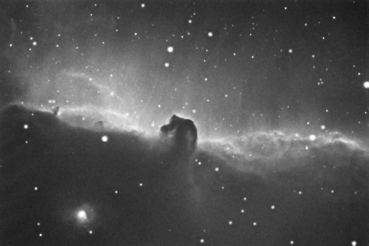 Horsehead