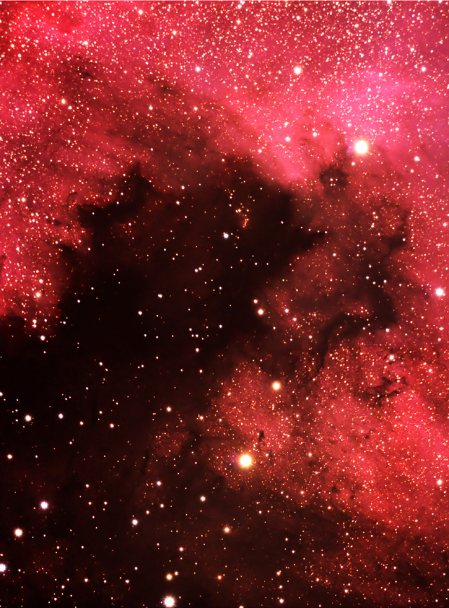 NGC 7000