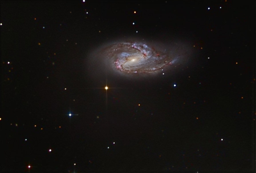 M66