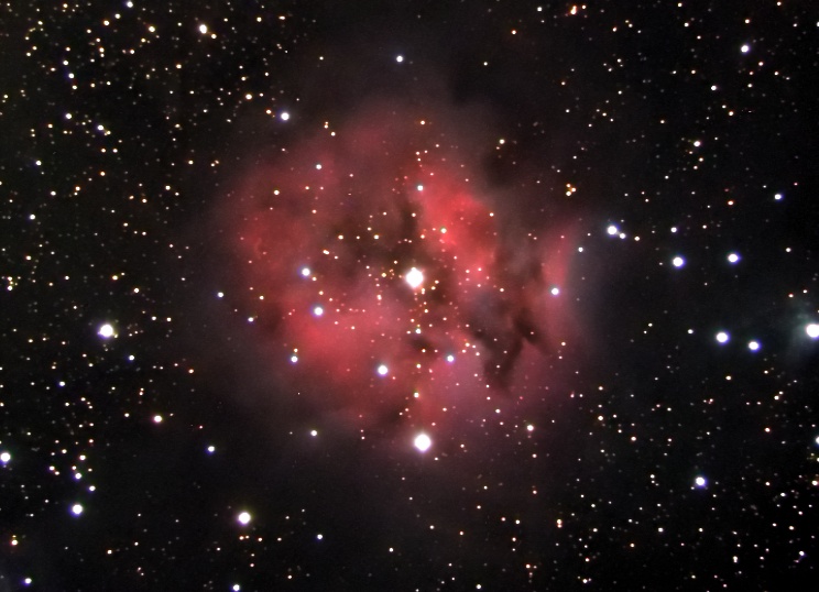 Cocoon Nebula