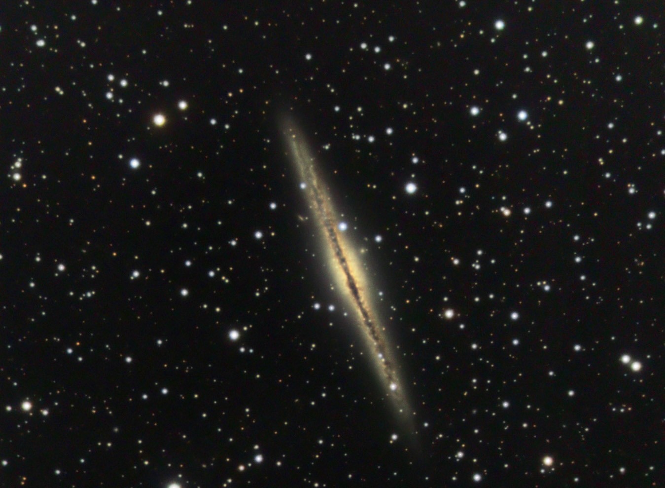 NGC891