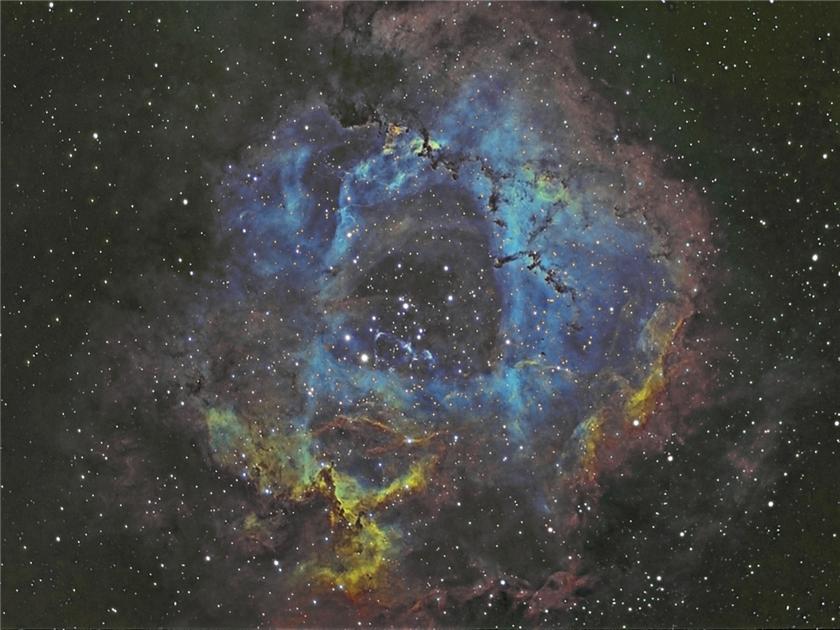 Rosette