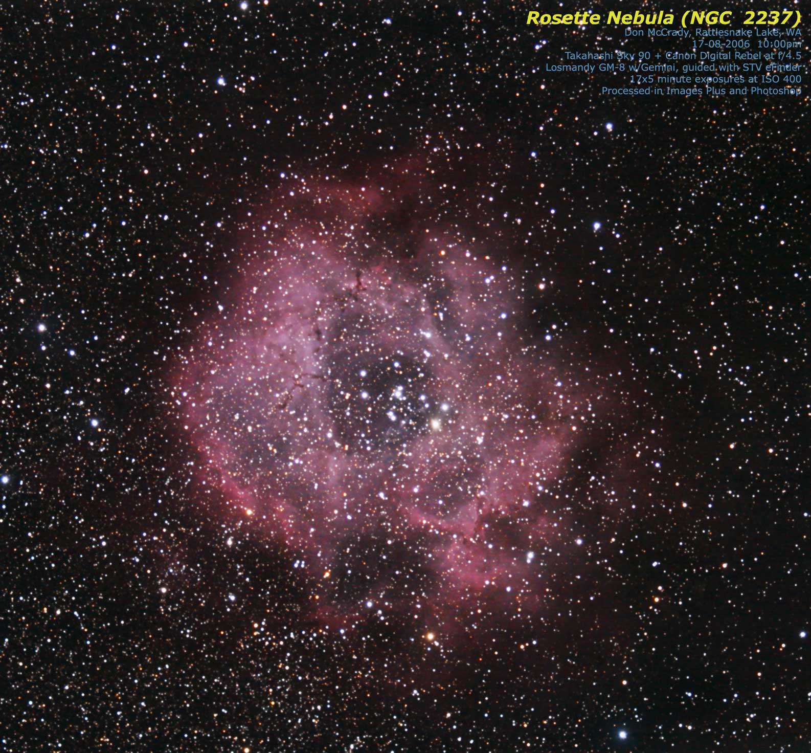 The Rosette