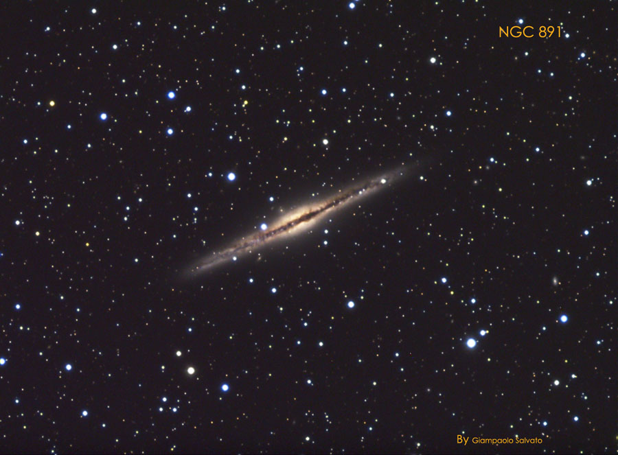 ngc 891