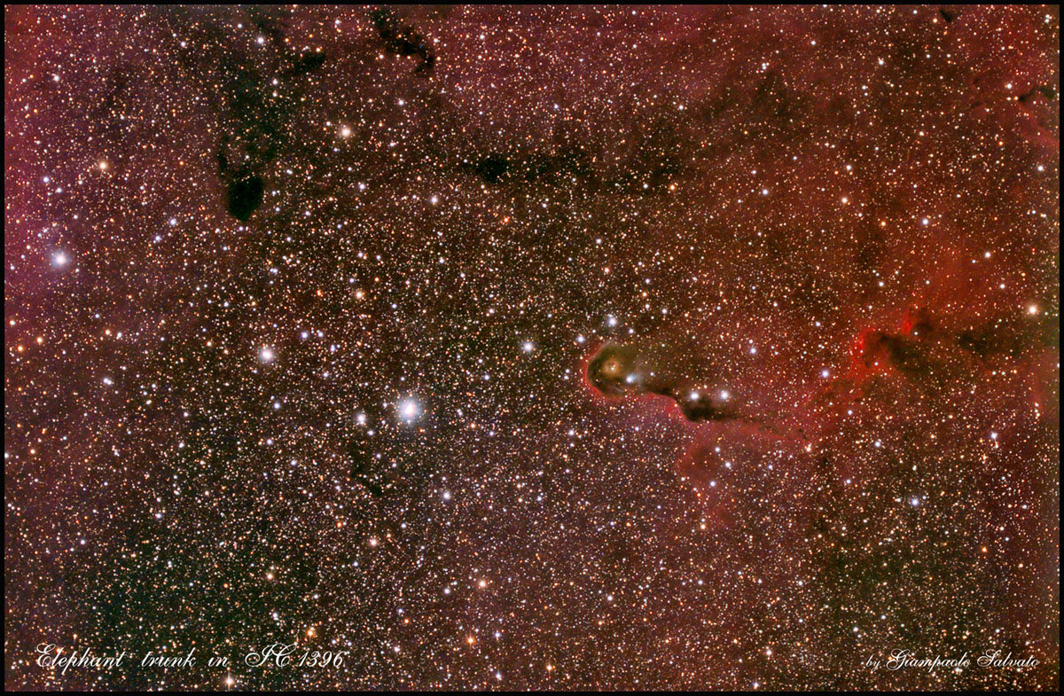 Elephant trunk in IC 1396