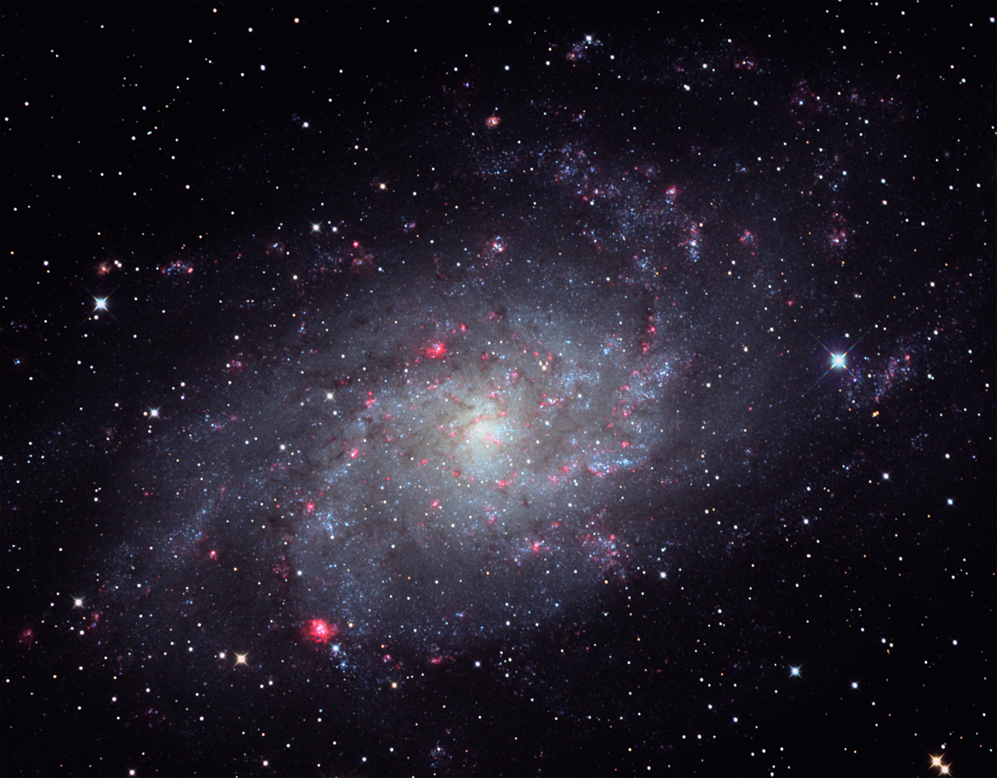 M33