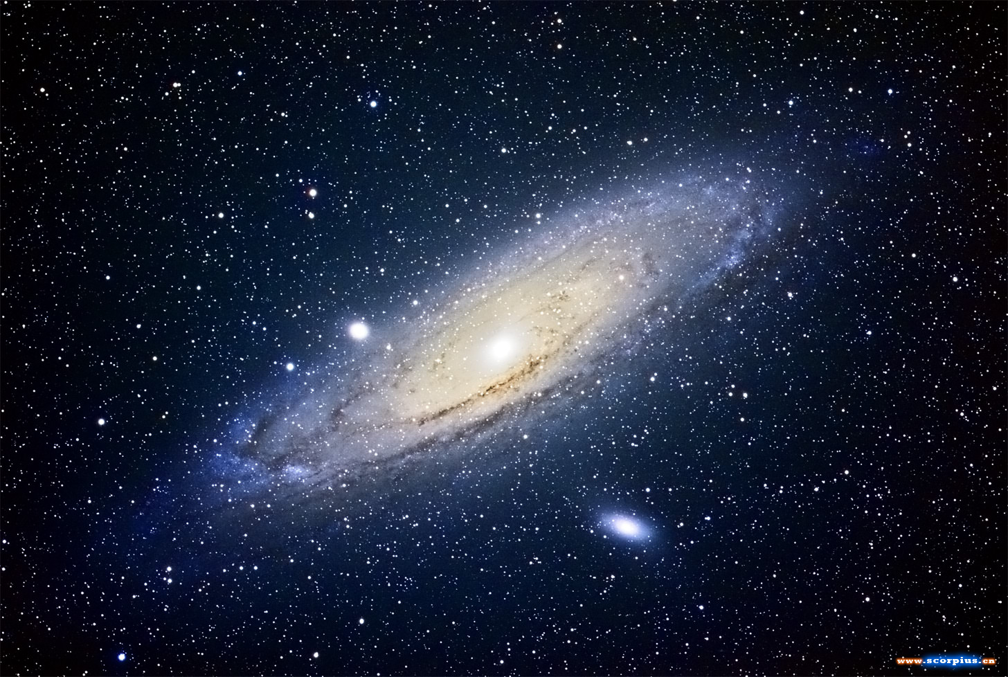 M31