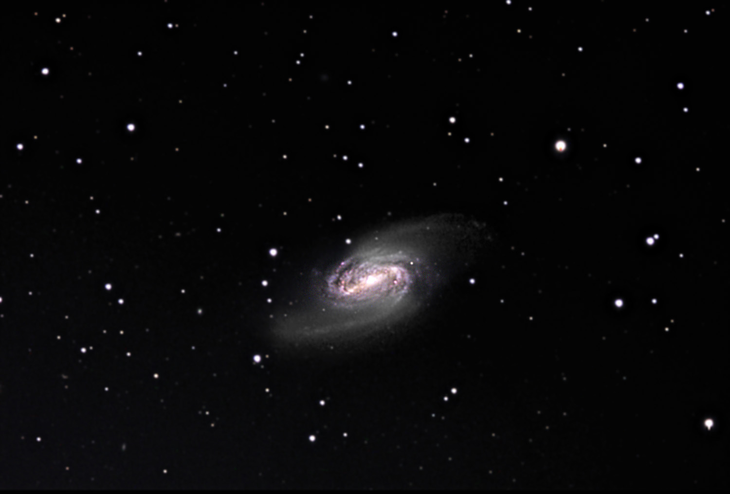 NGC 2903