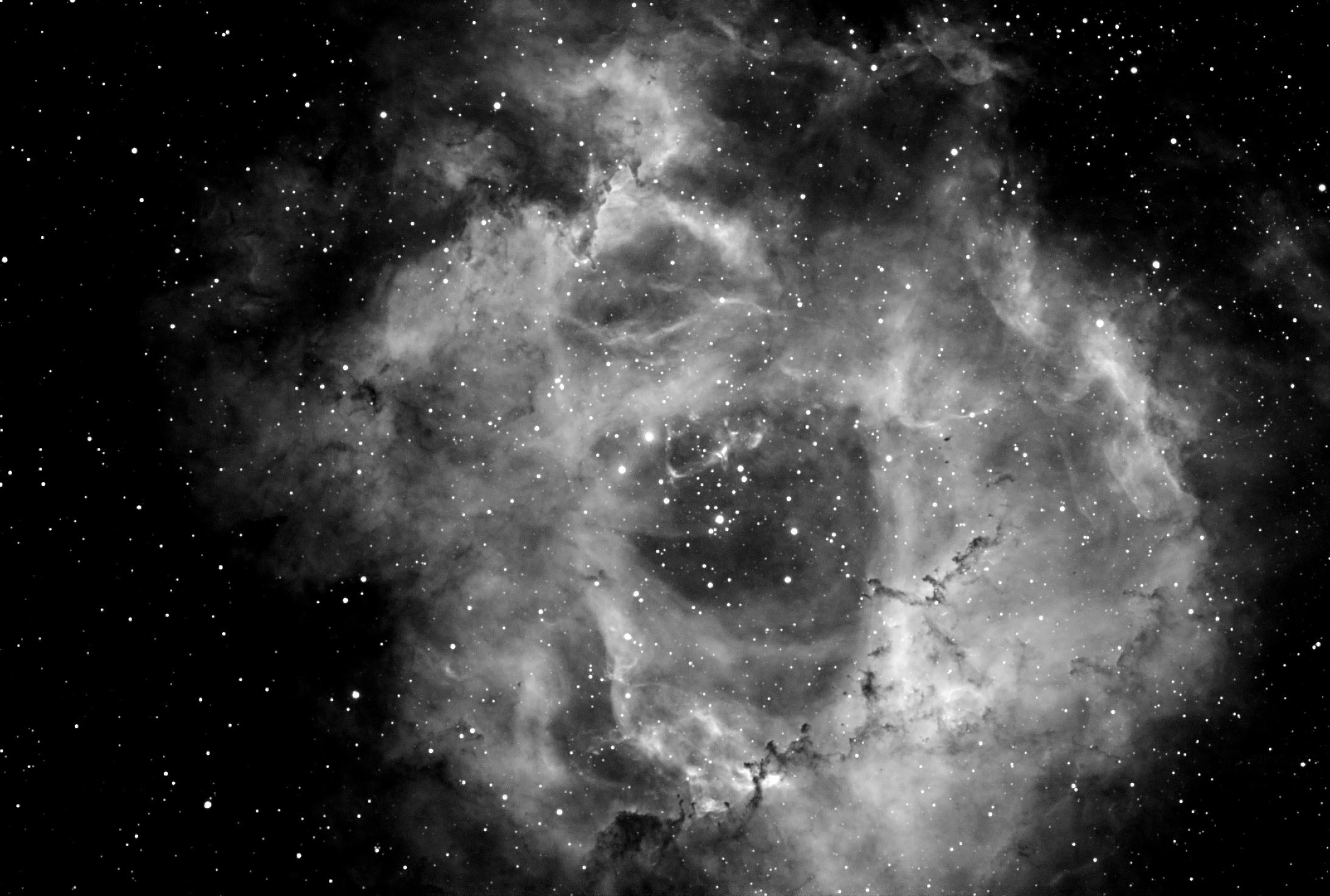 NGC 2244