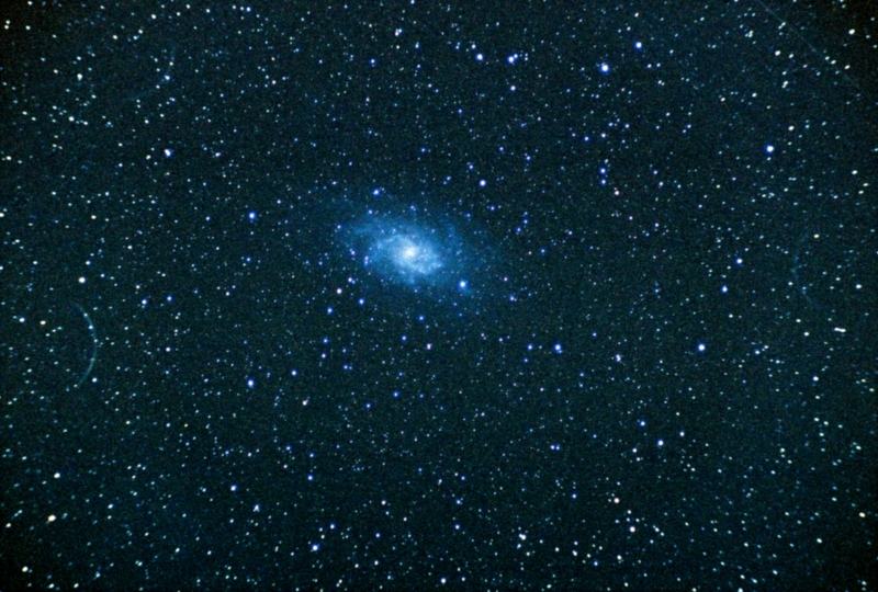 M33