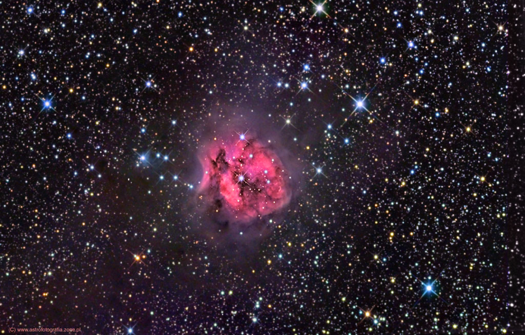 Cocoon (NGC5146)