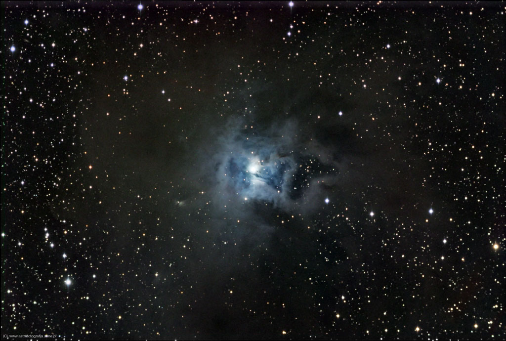 Iris Nebula (NGC7023)