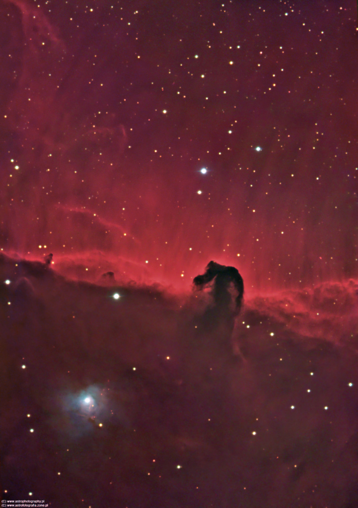 Horsehead & NGC2023